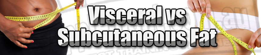 MrSupplement.com.au - Visceral vs Subcutaneous - The Facts